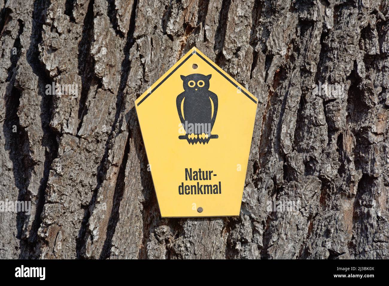 German sign on tree trunk 'Naturdenkmal' (natural monument) Stock Photo