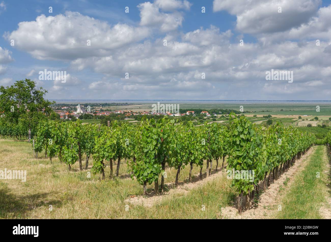 Wine Village of Oggau am Neusiedler See,Burgenland,Austria Stock Photo