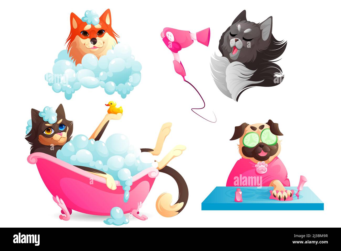 Dogs spa and grooming service, funny puppies enjoying salon procedures