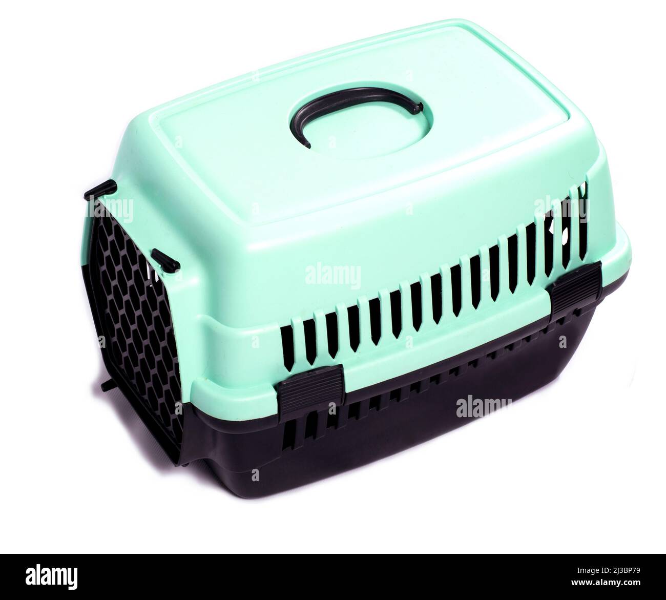 isolated image, cat carrier to follow to the vet clinic, beautiful domestic cats, cats in the house, pets, going to the vet, traveling with a cat Stock Photo