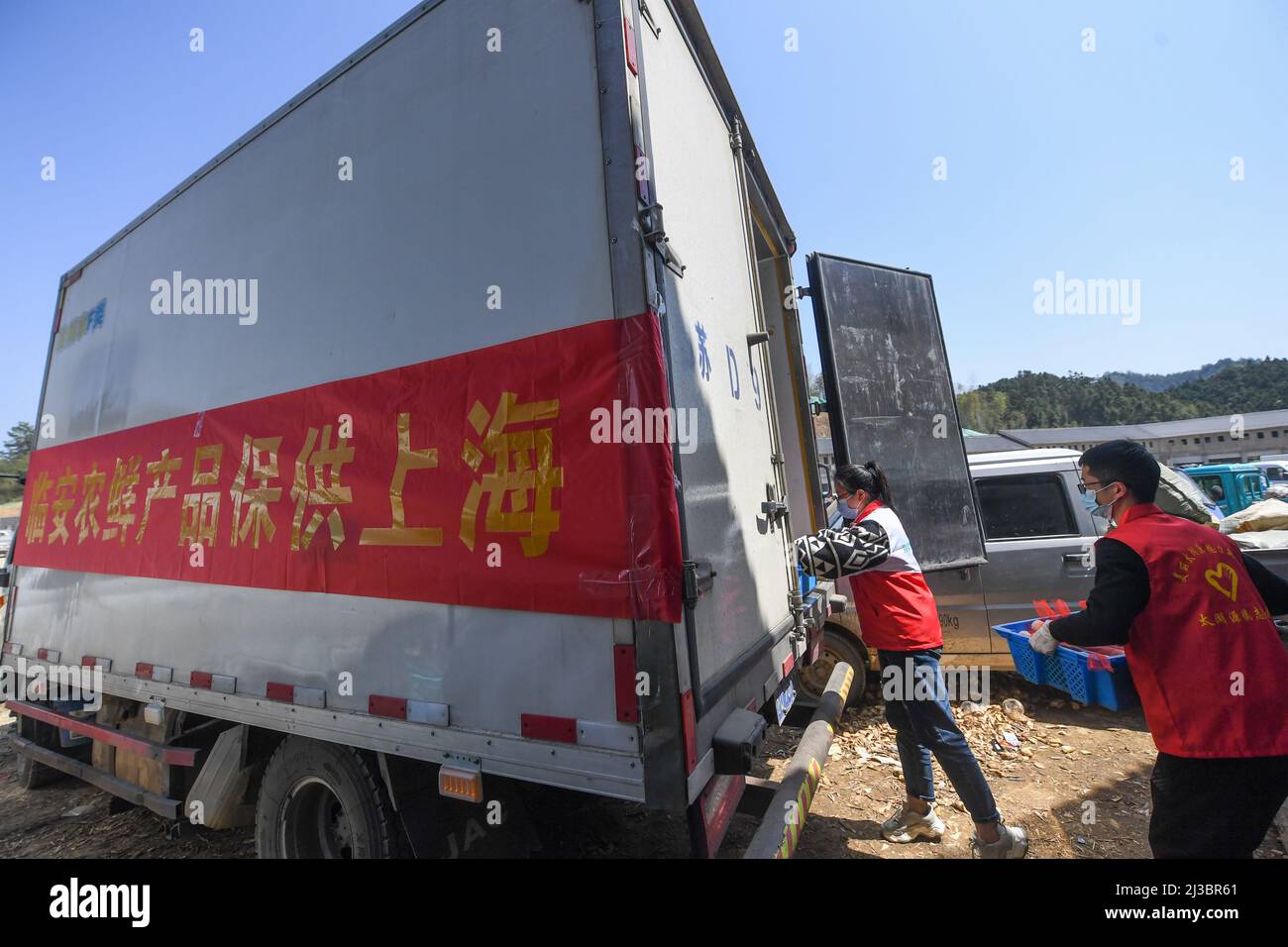 Hangzhou, China's Zhejiang Province. 7th Apr, 2022. Volunteers load bamboo shoots to a cold-chain truck for Shanghai in Taihuyuan Township of Lin'an District of Hangzhou, east China's Zhejiang Province, April 7, 2022. The township organized volunteers to help daily send about 15,000 kg fresh bamboo shoots to Shanghai, a megacity which is under temporary closed-off management due to COVID-19 resurgence. Credit: Xu Yu/Xinhua/Alamy Live News Stock Photo