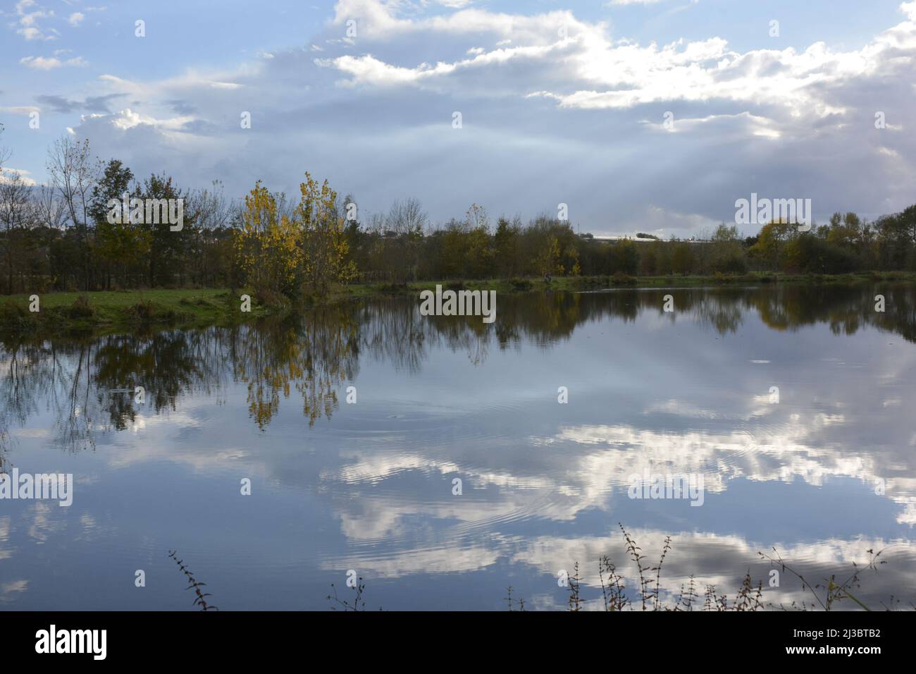 Beautiful shot park light hi-res stock photography and images - Alamy
