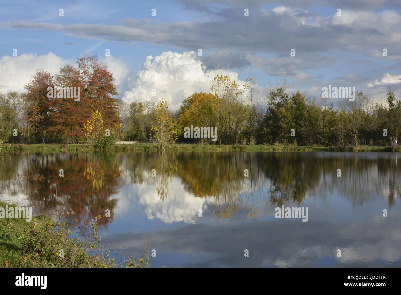 Beautiful shot park light hi-res stock photography and images - Alamy