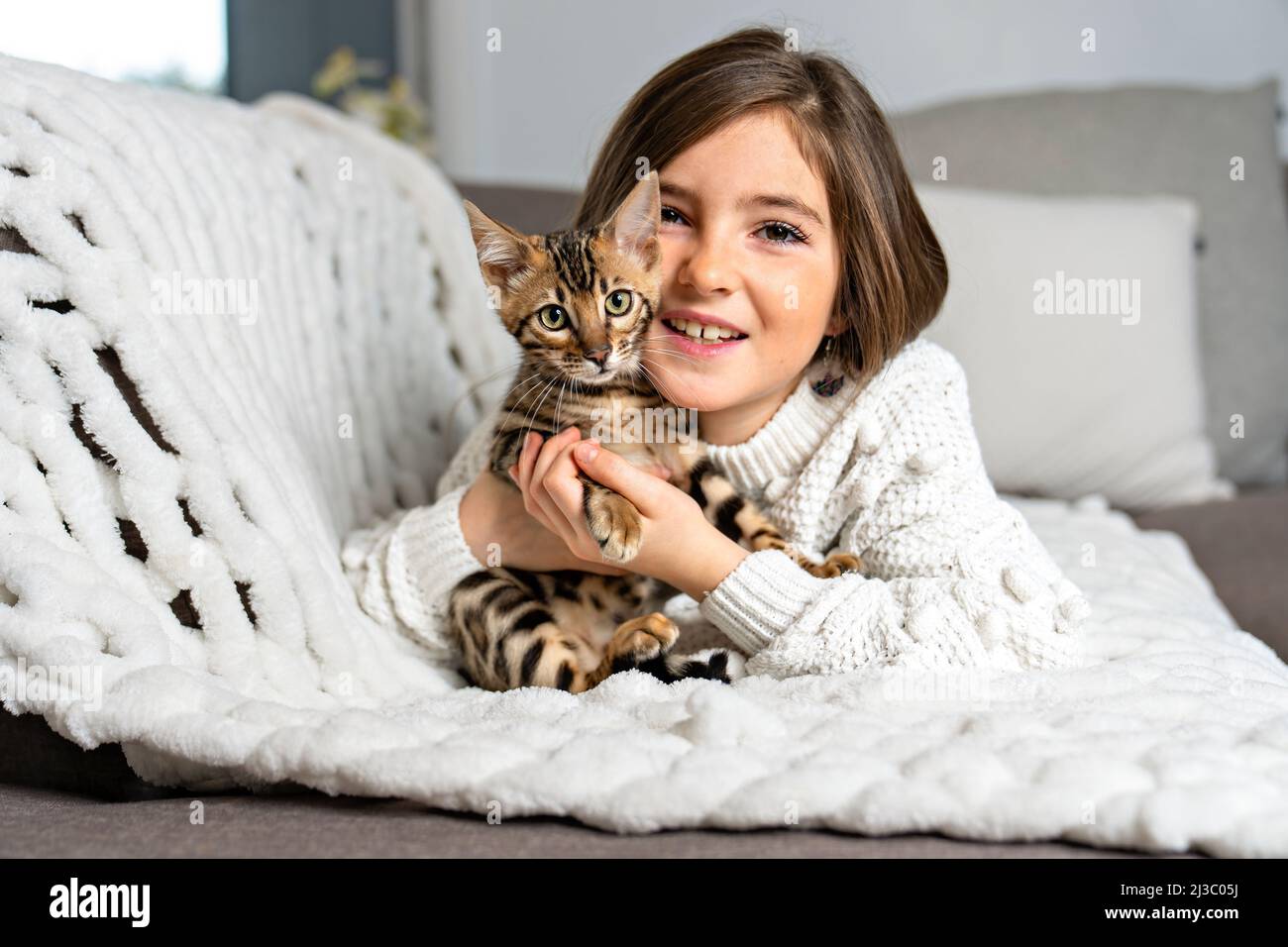 Bengal cat in the living room on the couch with child Stock Photo Alamy