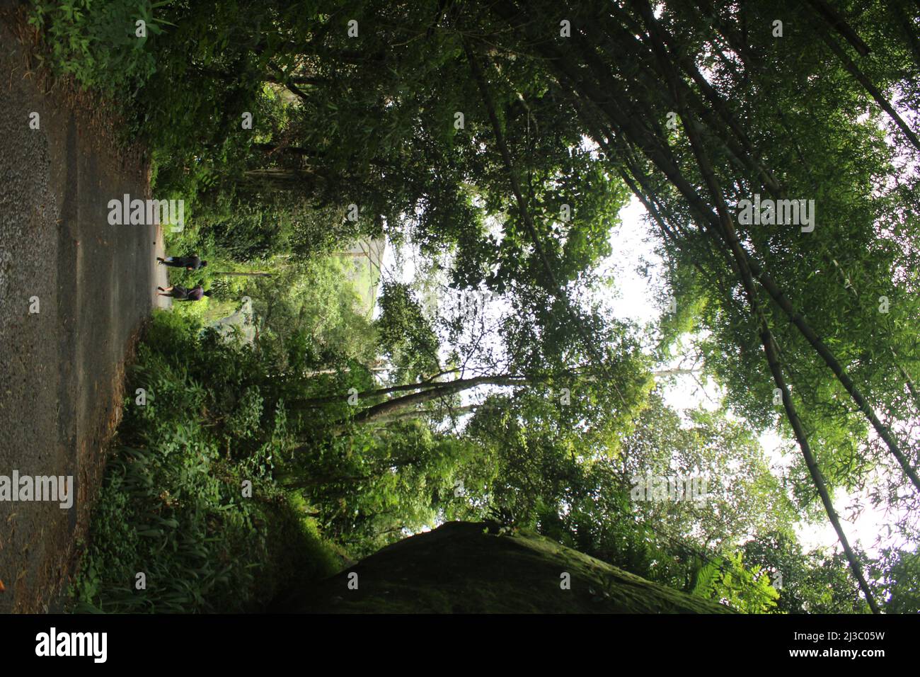 Vertical shot pathway park hi-res stock photography and images - Alamy