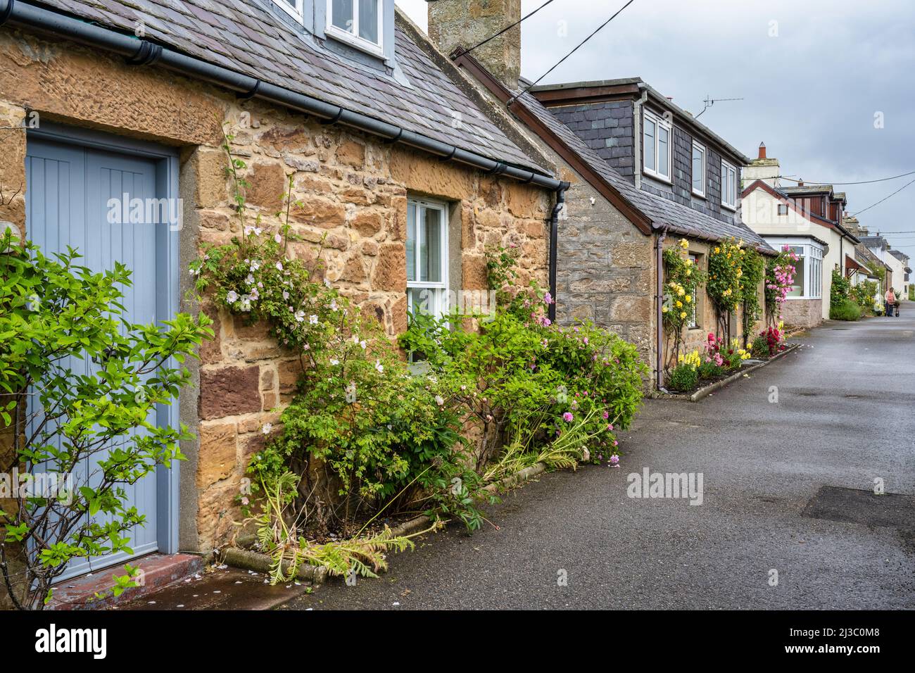Floral displays in front of traditional Scottish cottages on Carnaig street in Littletown