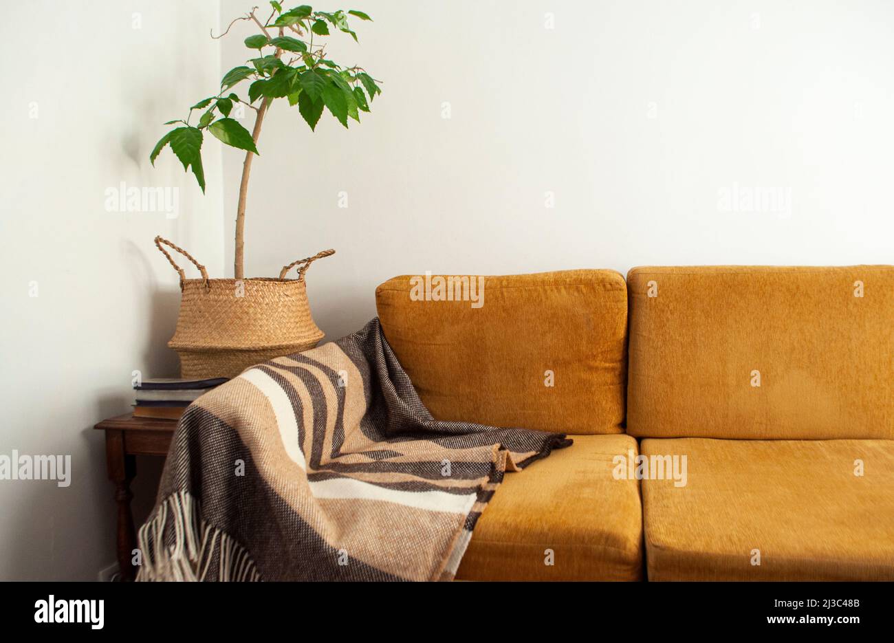 Modern living room interior with cozy orange colour sofa, wool plaid ...