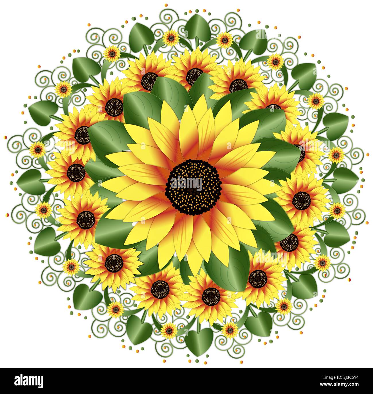 Large bright Sunflower Motif isolated on white background Stock Photo