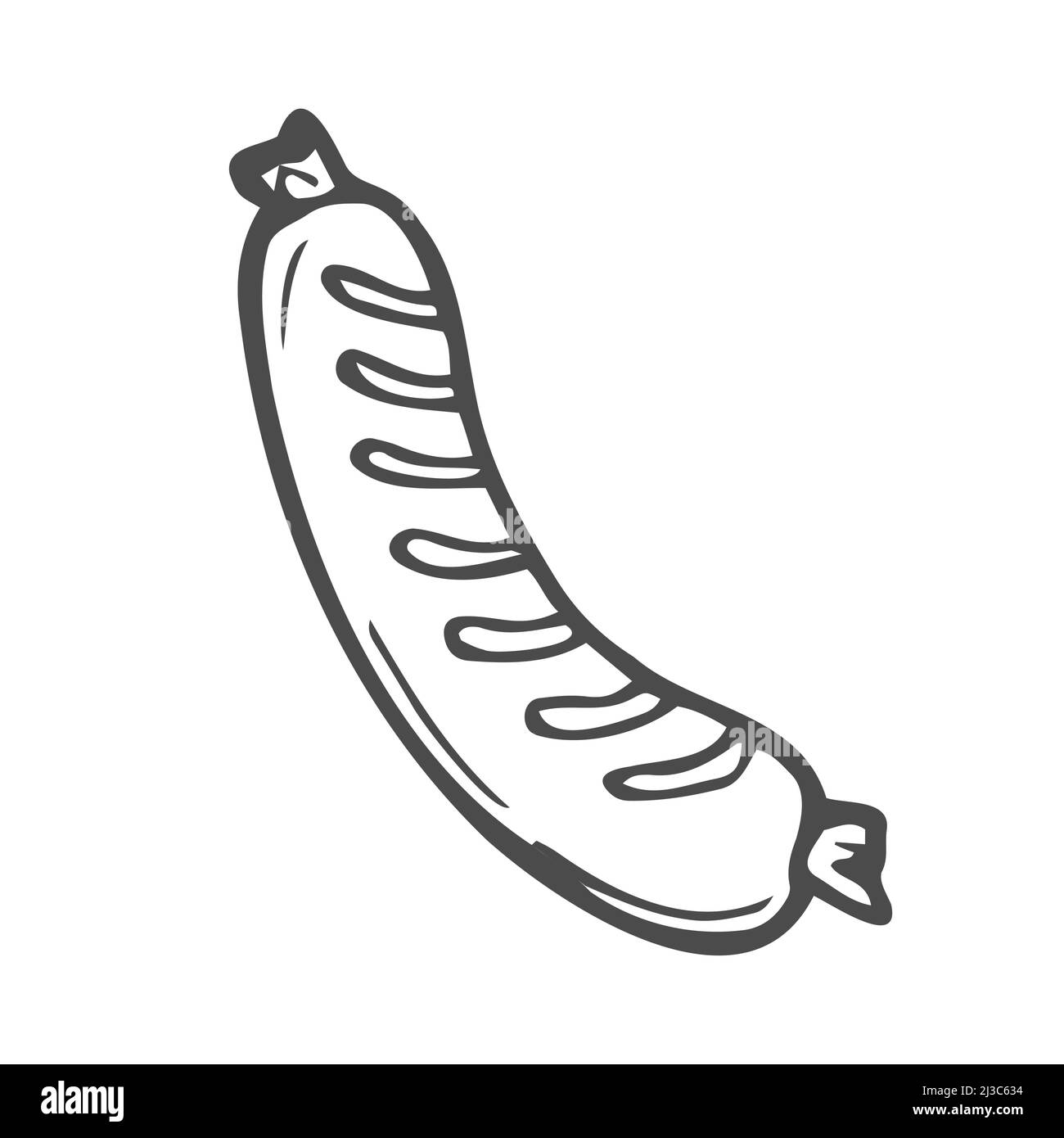 Hand drawn barbecue sausage illustration in vector. Doodle barbecue sausage icon in vector. Hand drawn roasted sausage illustration in vector. Stock Vector