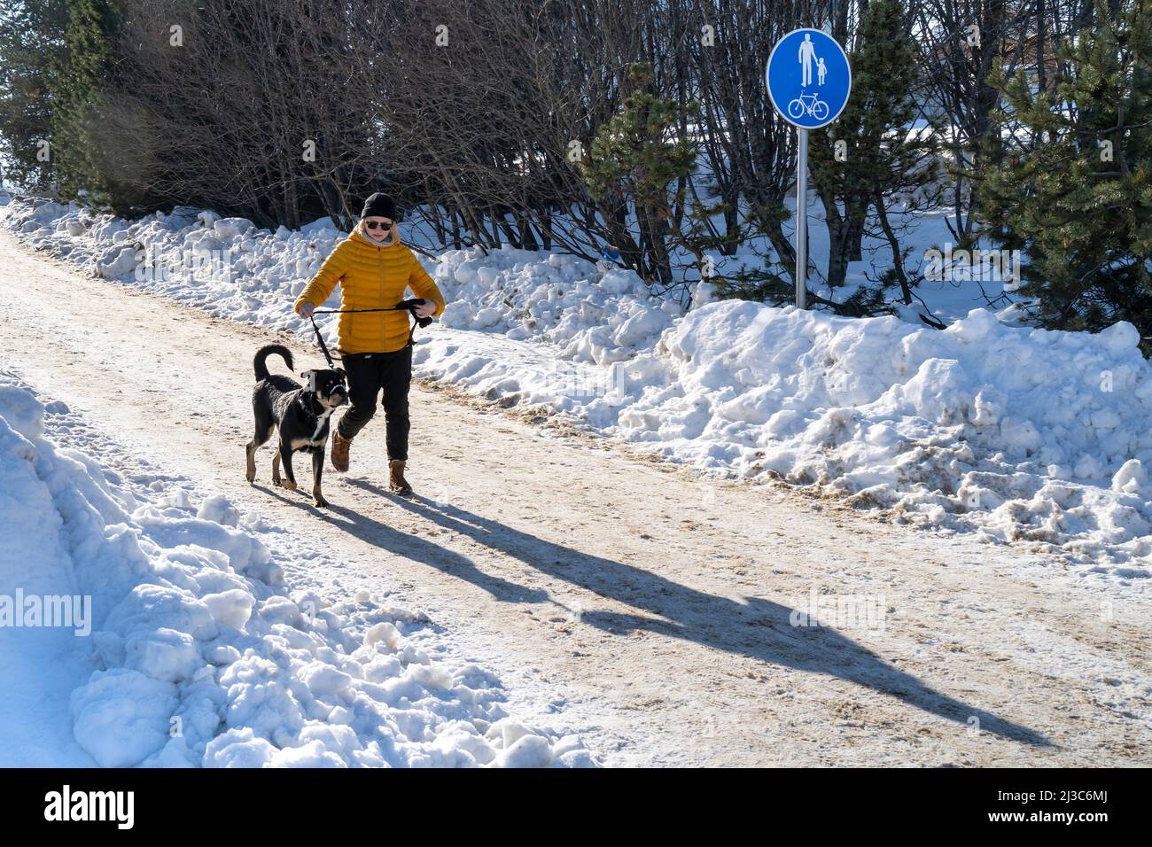 Rovaniemi, Finland - March 17th, 2022: A young woman walking her dog down a snowy path at dawn. Stock Photo