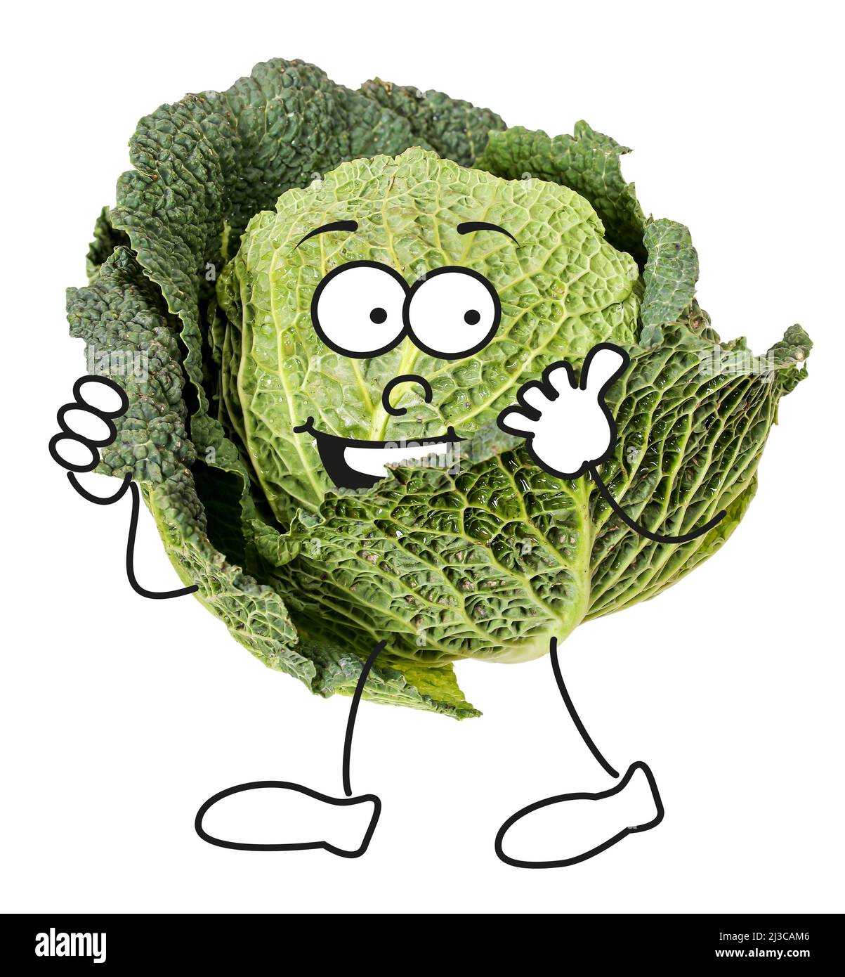 Savoy cabbage vegetable as comic character Stock Photo