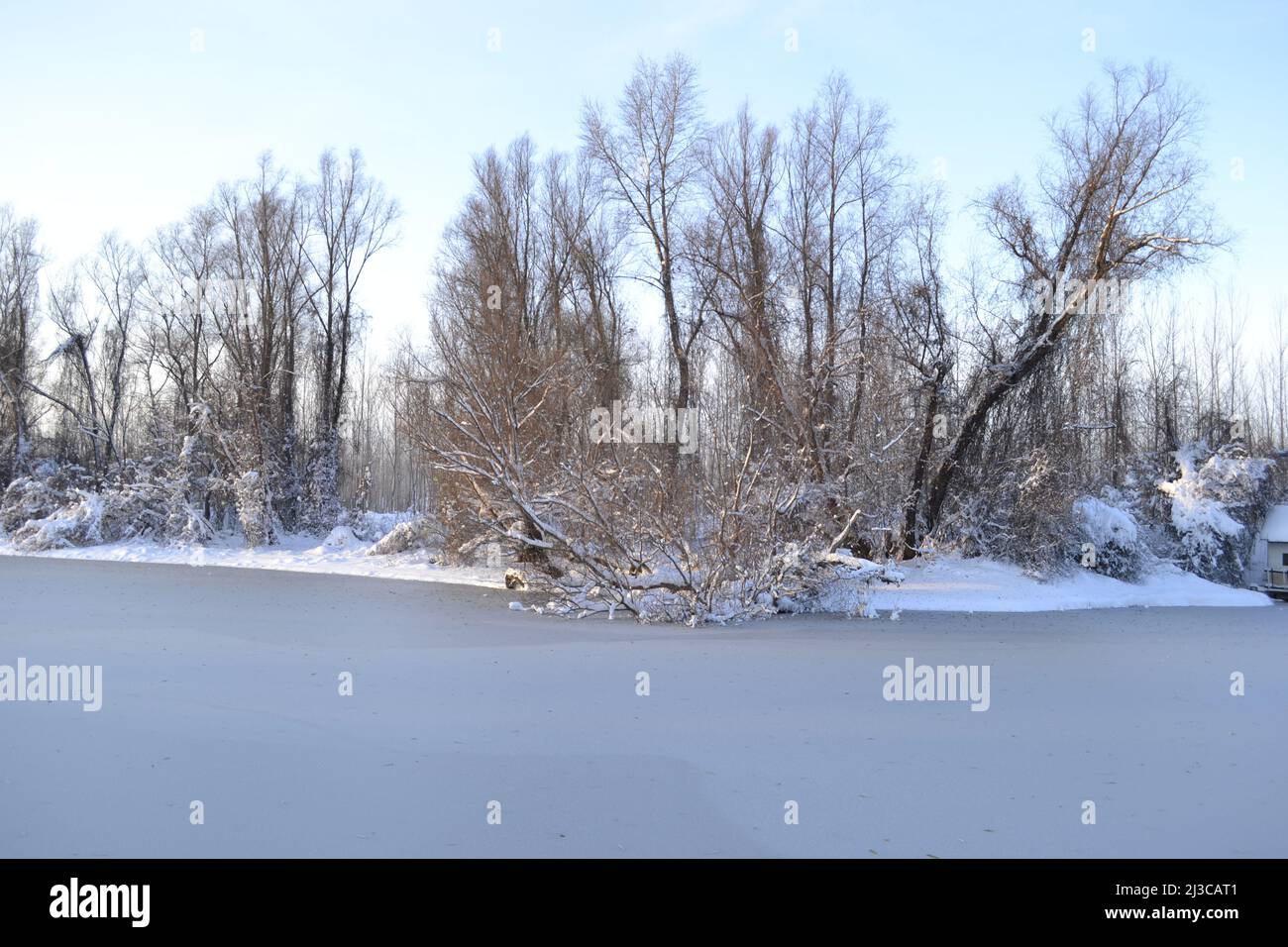 Panorama of the frozen lake and snowcovered trees Stock Photo Alamy