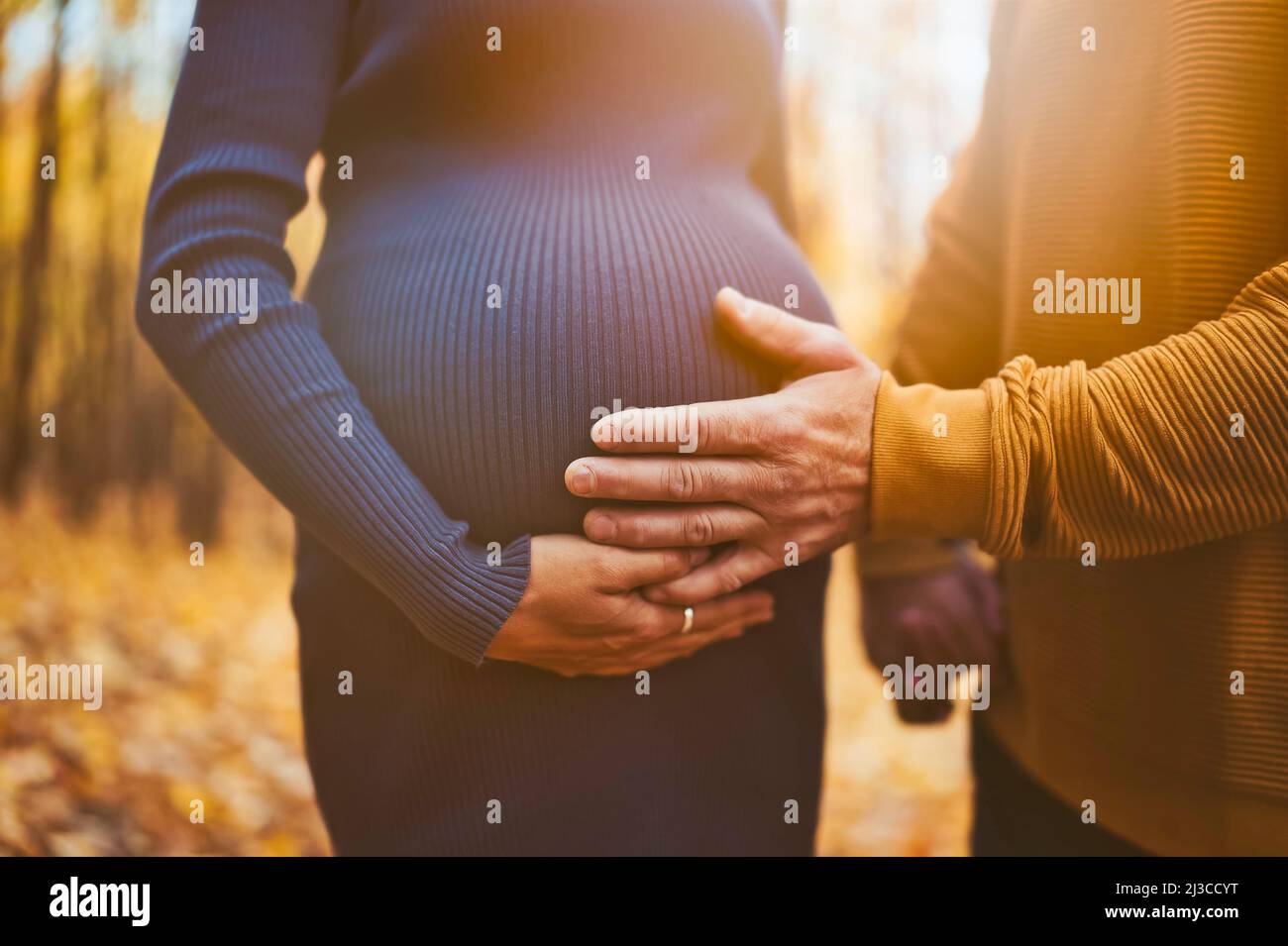 Mom and dad touching a belly with their baby, outside on a autumn Stock