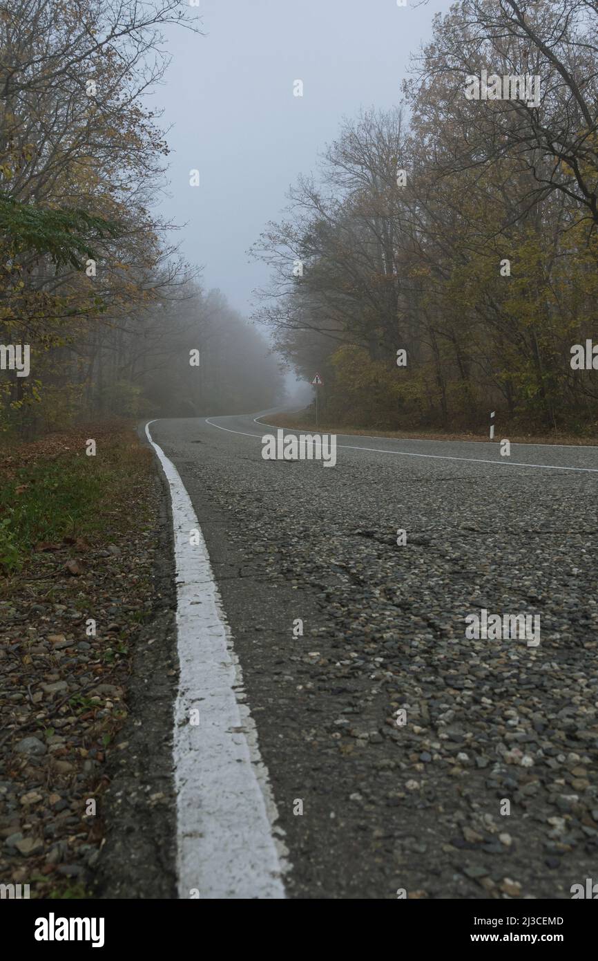Bottom view of a country road looping through the fog in an autumn forest. Asphalt road with white markings and forest on a foggy morning. Mysterious Stock Photo