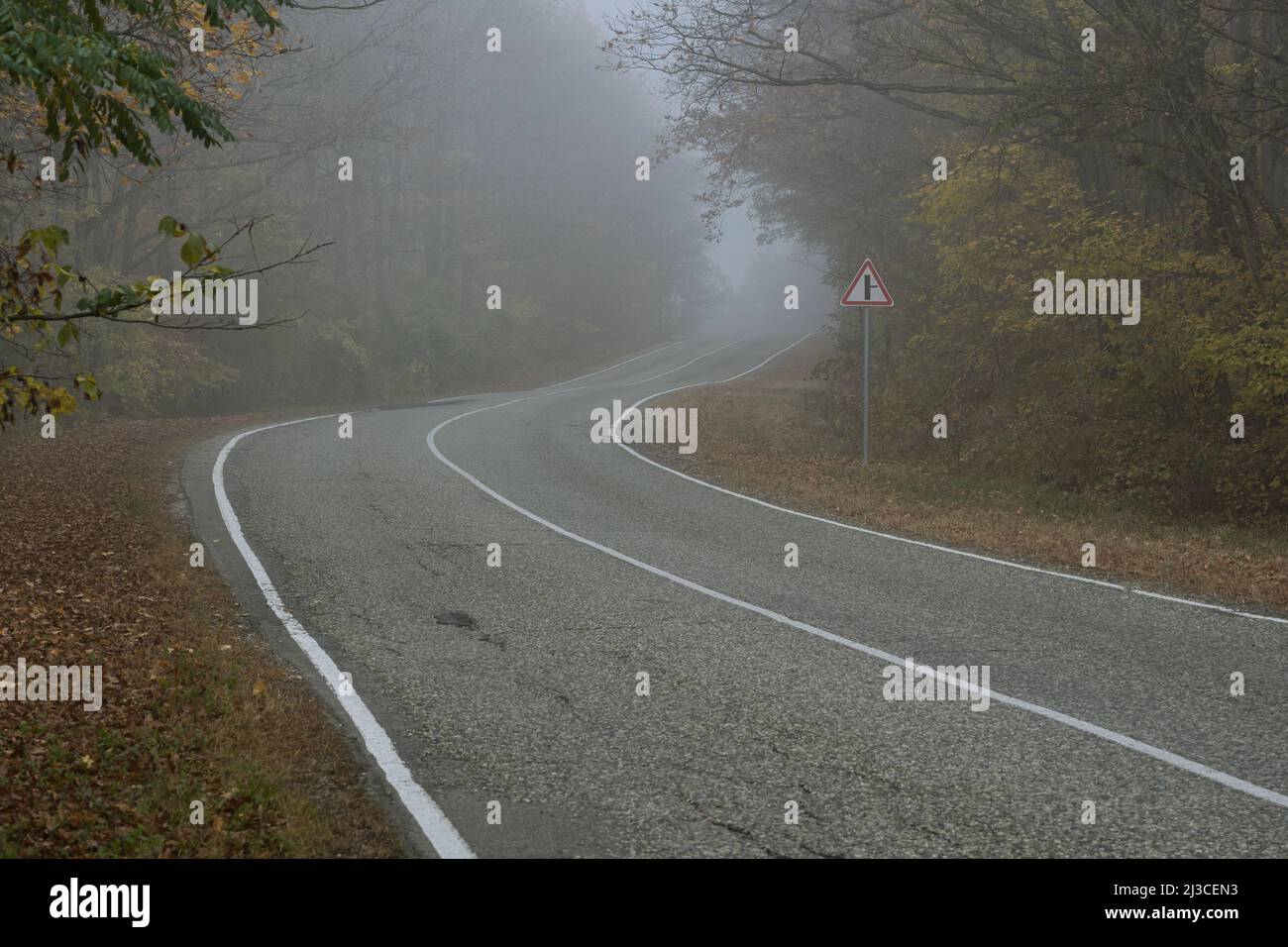 The bend and rise of a country road with white lines of markings in an autumn forest. Asphalt road and forest on a foggy morning. Mysterious landscape Stock Photo