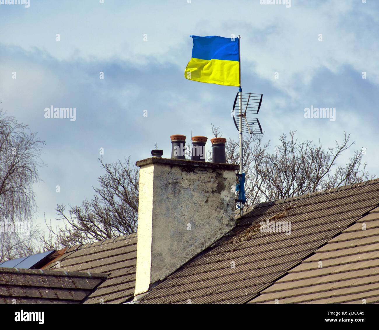 Glasgow, Scotland, UK 7th April, 2022.  a Suburban semi detached house in knightswood shows support with ukranian flag flying from its tv aerial mast. Credit Gerard Ferry/Alamy Live News Stock Photo