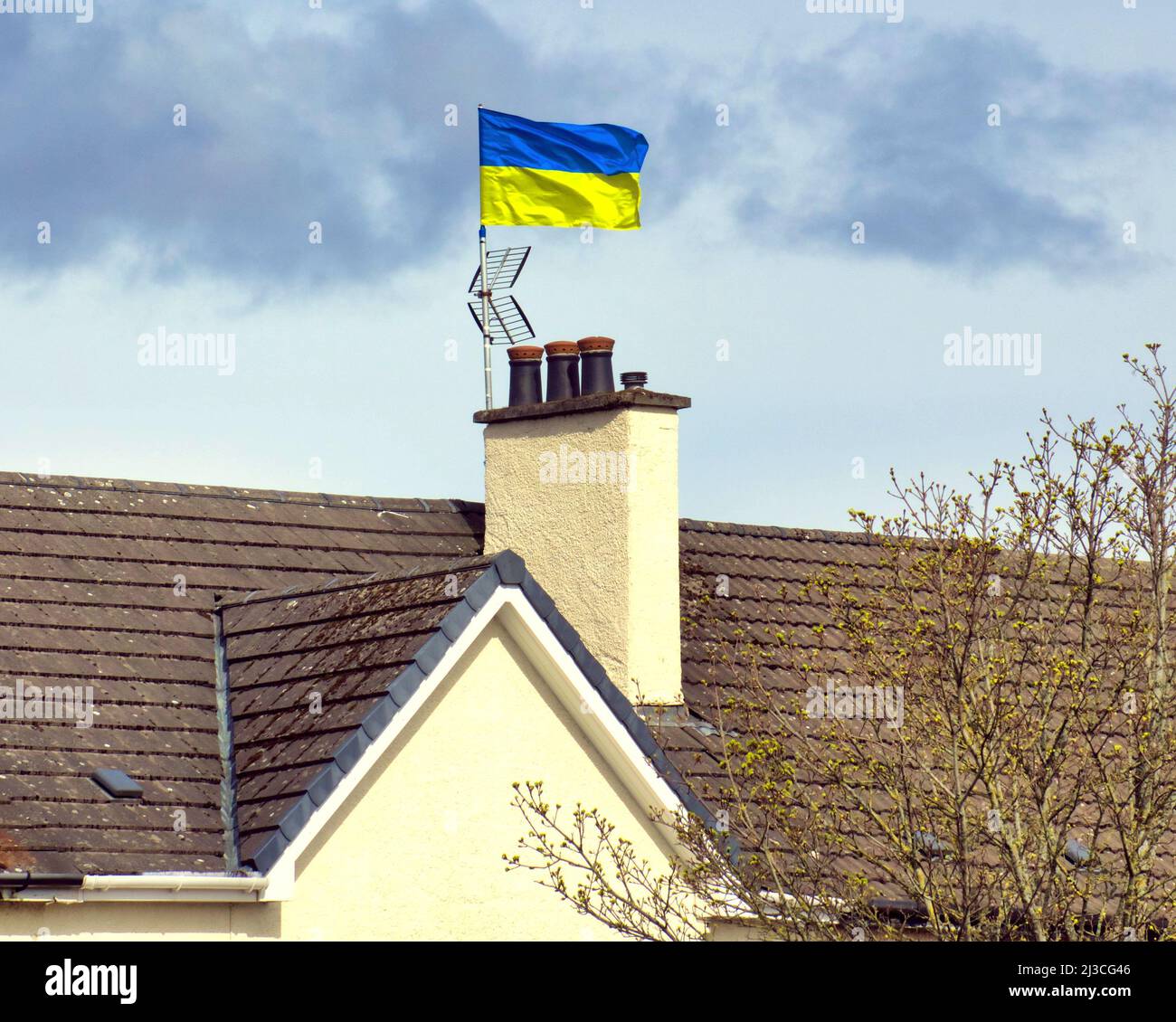 Glasgow, Scotland, UK 7th April, 2022.  a Suburban semi detached house in knightswood shows support with ukranian flag flying from its tv aerial mast. Credit Gerard Ferry/Alamy Live News Stock Photo