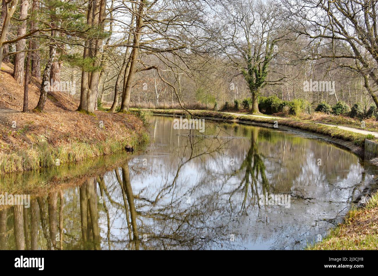 Reflections on a bend in the beautiful Basingstoke Canal between Deepcut and Pirbright in Surrey Stock Photo