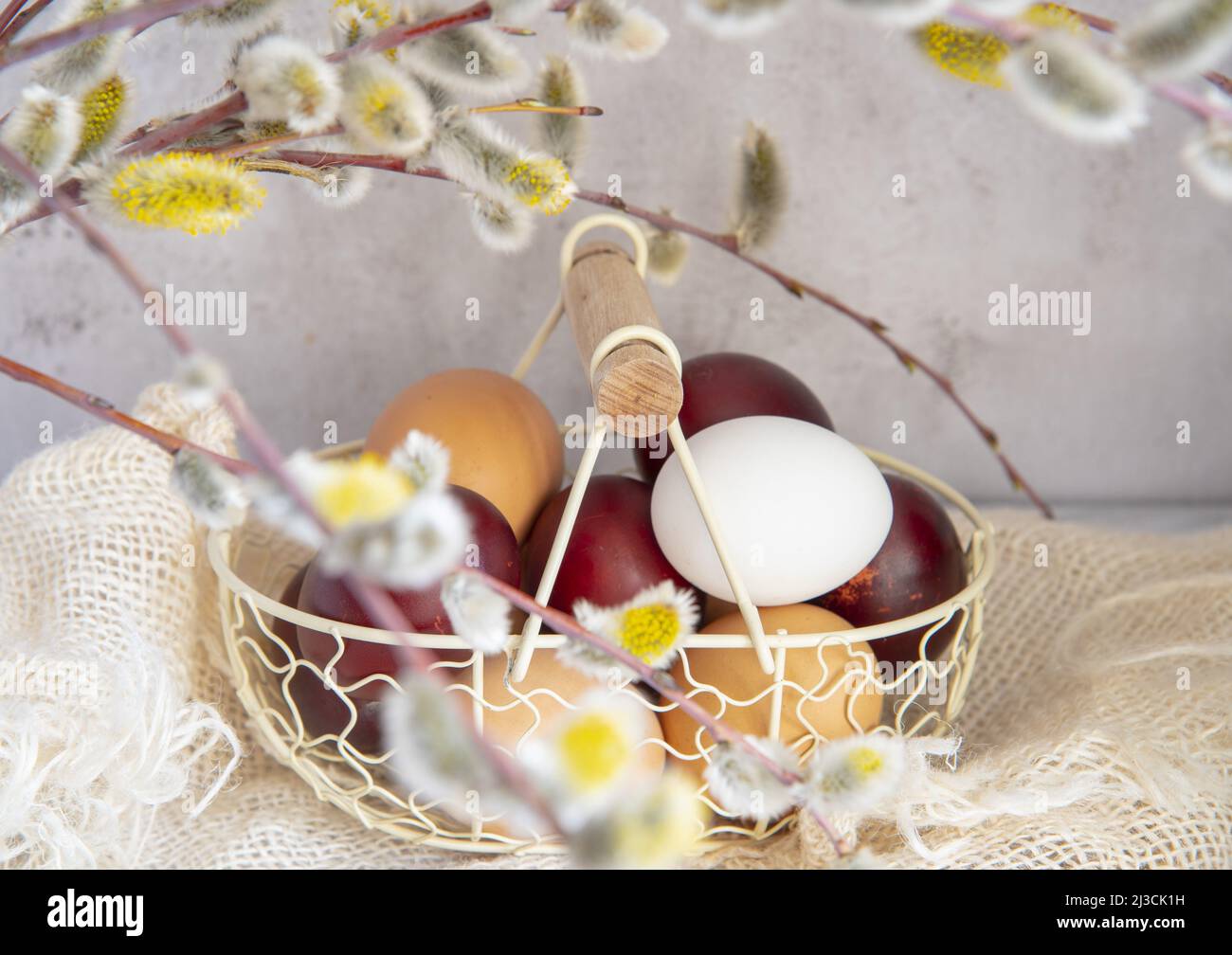 Easter colored eggs and natural eggs lie in a small basket decorated ...