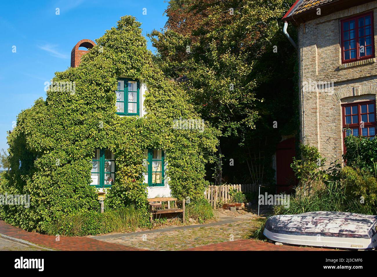 Historical ivy covered house Stock Photo - Alamy