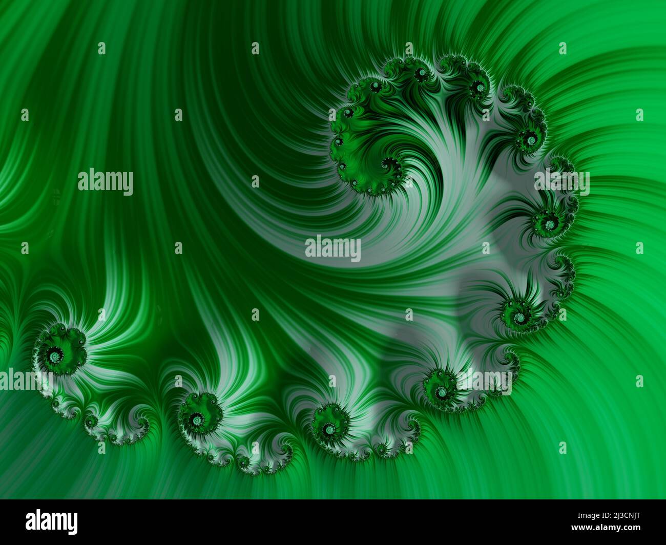 Beautiful fractal floral art. Computer generated graphics Stock Photo