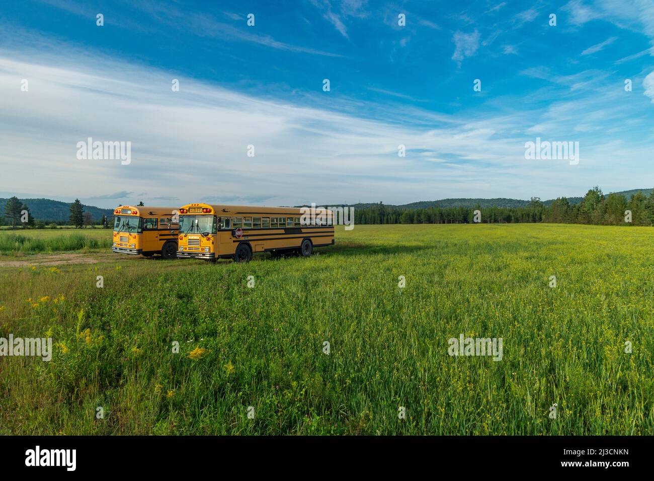 School bus waiting for pupils, Ontario, Canada Stock Photo