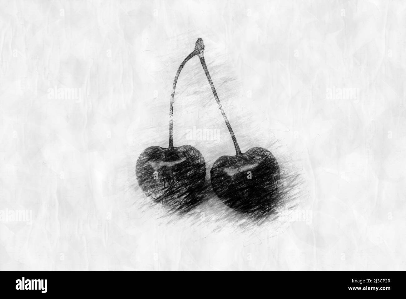 closeup of two cherries in pencil drawing style Stock Photo Alamy