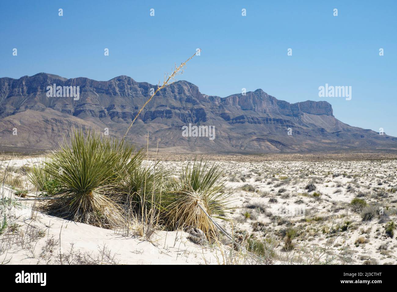 Salt Basin Dunes at Guadalupe Mountains National Park, Guadalupe peak