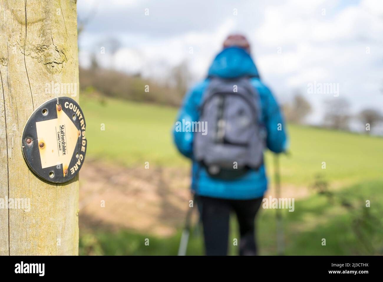 Rear view of isolated female hiker woman walking in UK countryside with ...