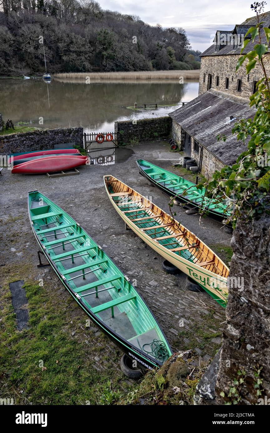 Cornish Pilot Gig Rowing Boats of the Cotehele Quay Gig Club - Teylu is of traditional clinker construction to CPGA standards Stock Photo