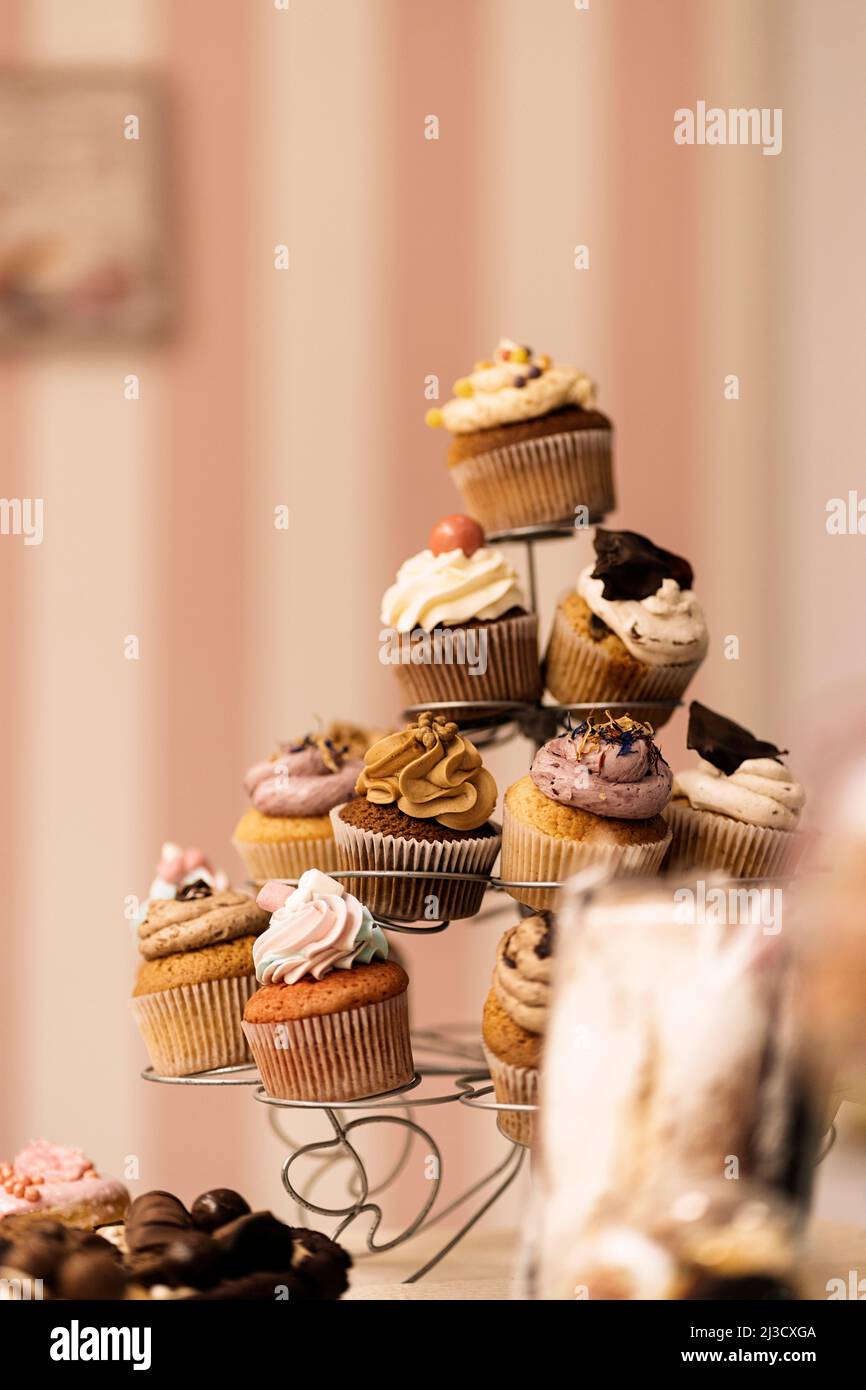 Bunch of assorted tasty cupcakes placed on metal holder on table in bakery Stock Photo