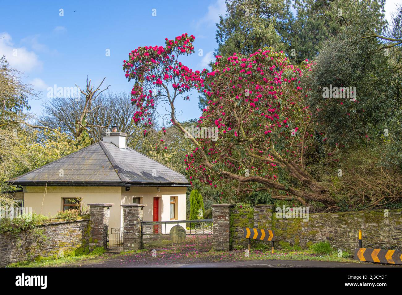 Kincraigie house lodge hi-res stock photography and images - Alamy