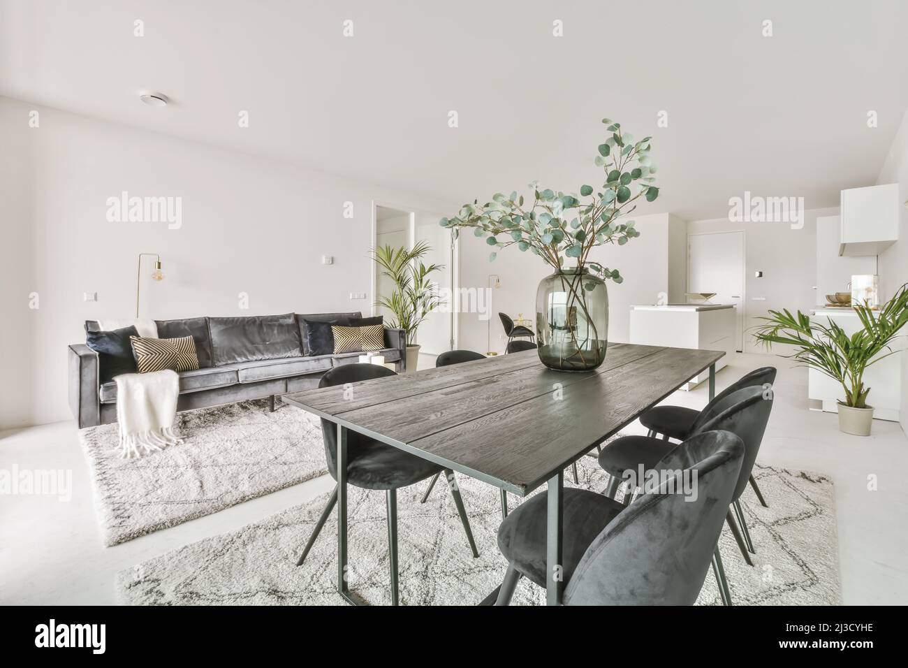 Interior of spacious open plan flat with modern kitchen and lounge room