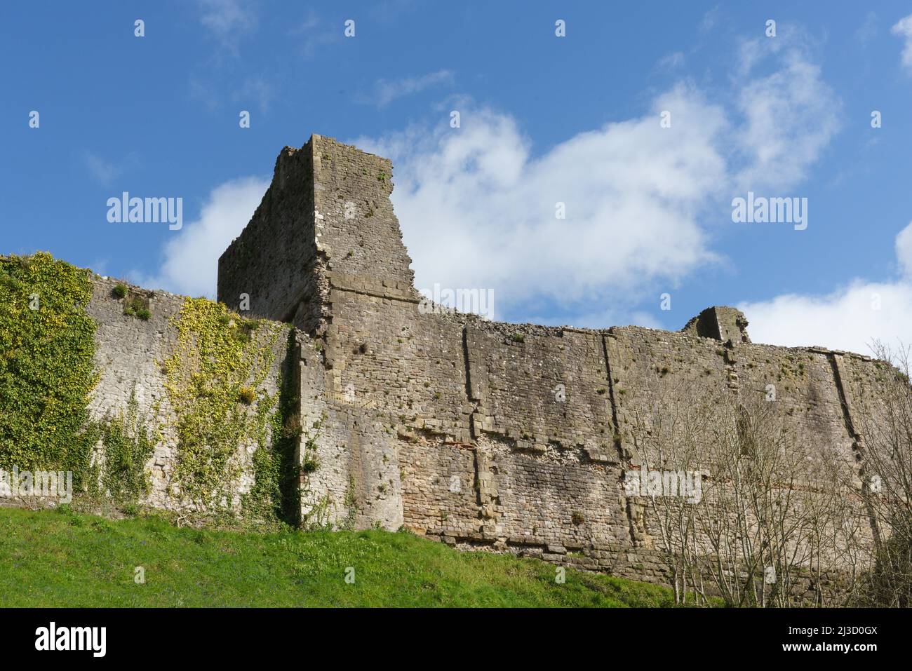 Chepstow castle illustrating its towers, turrets, fortifications and living spaces. PICTURED: The Great Tower Stock Photo