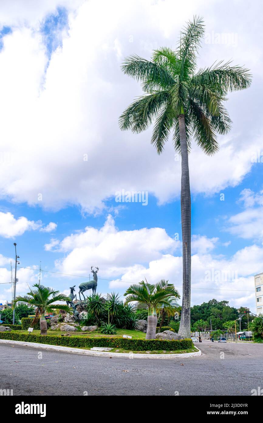 Royal Palm tree by the sculpture of 'La Familia' by Rita Longa at the entrance of the Havana Zoo. The work is popularly known as 'Los Venados'. Stock Photo