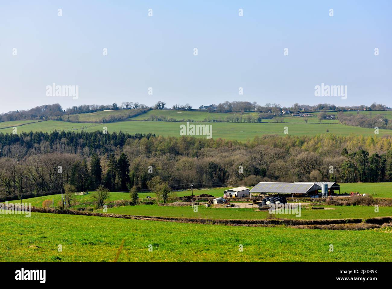 Somerset countryside with fields in the Mendip Hills, UK, early spring Stock Photo