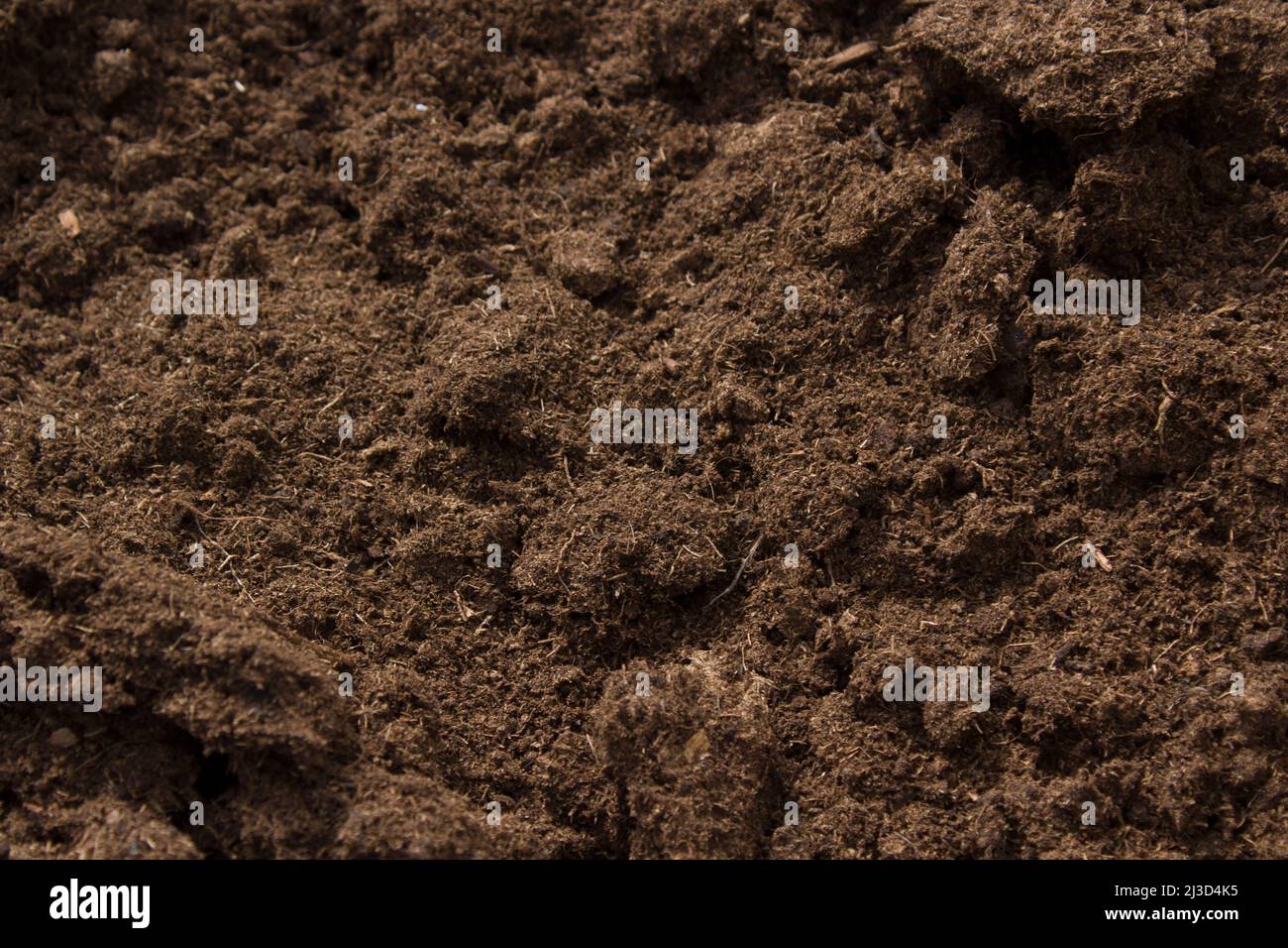 Peat moss background. Acid soil. Lithuanian peat Stock Photo