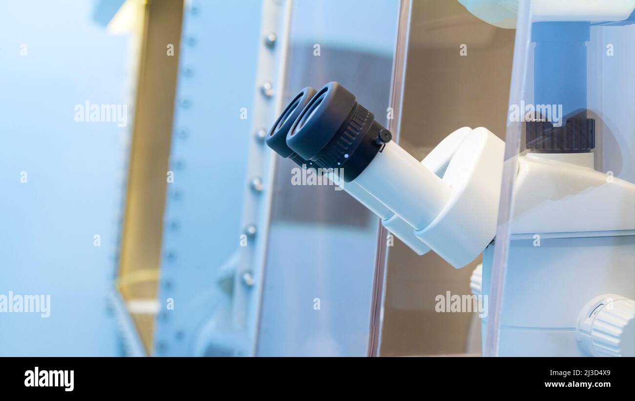 The eyepieces of a light or fluorescent microscope in a research laboratory environment Stock Photo