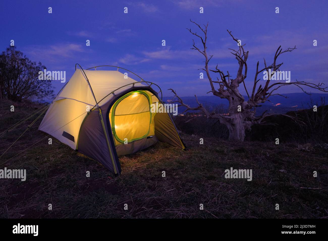 illuminated tent and dead tree in Etna Park, Sicily Stock Photo