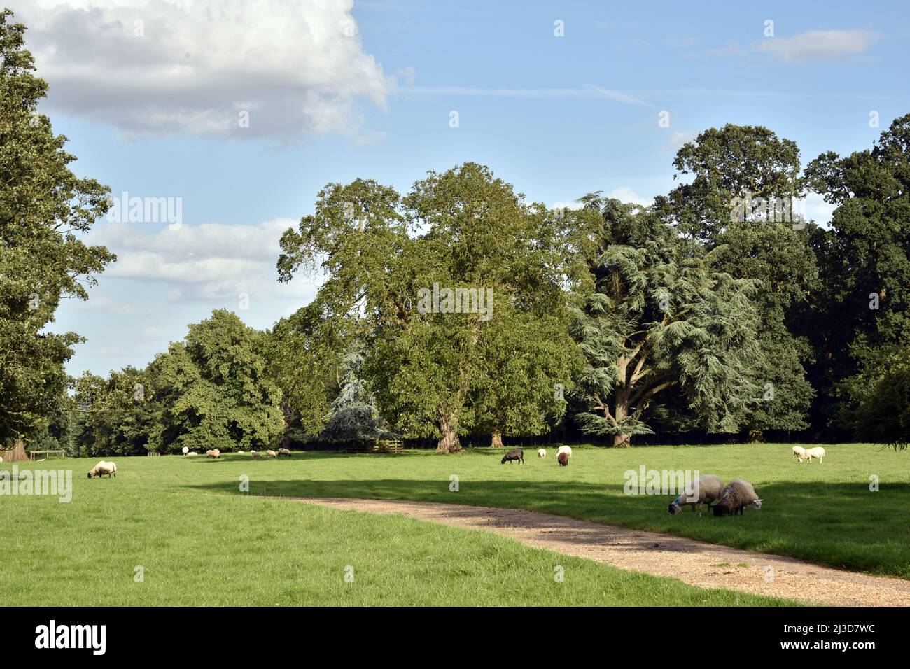 The grounds of The Old Hall, Husbands Bosworth, Leicestershire, UK Stock Photo