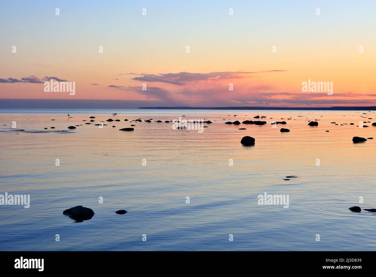 Sunset at the Gulf of Finland, Russia Stock Photo