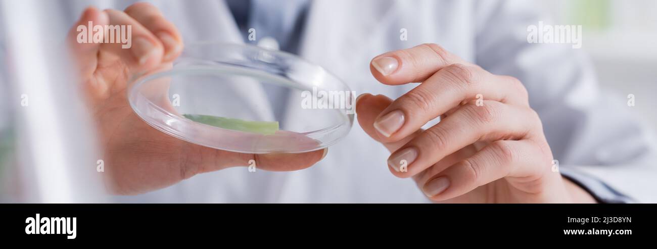 Test plate hi-res stock photography and images - Alamy