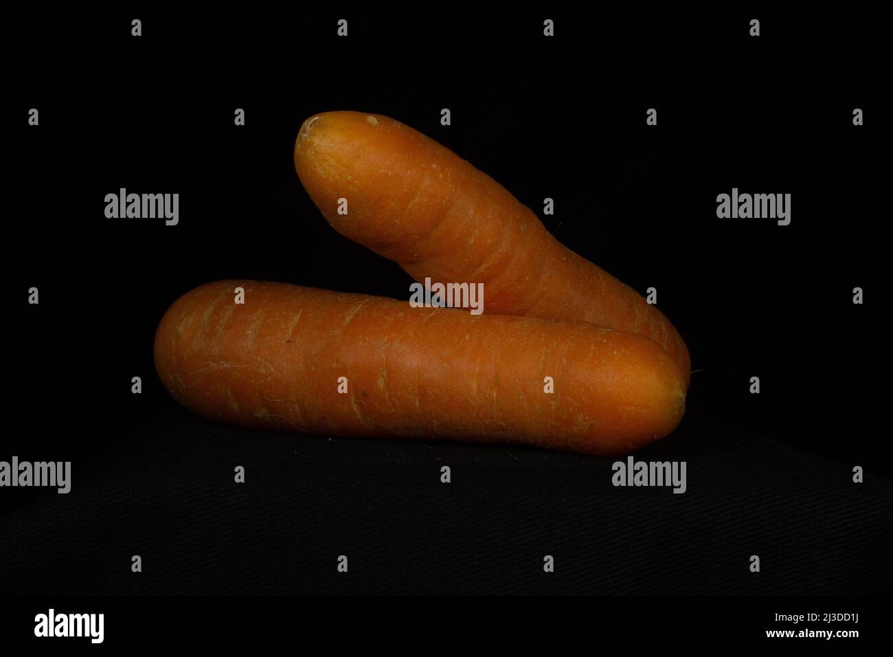 two orange carrots isolated on a black background Stock Photo