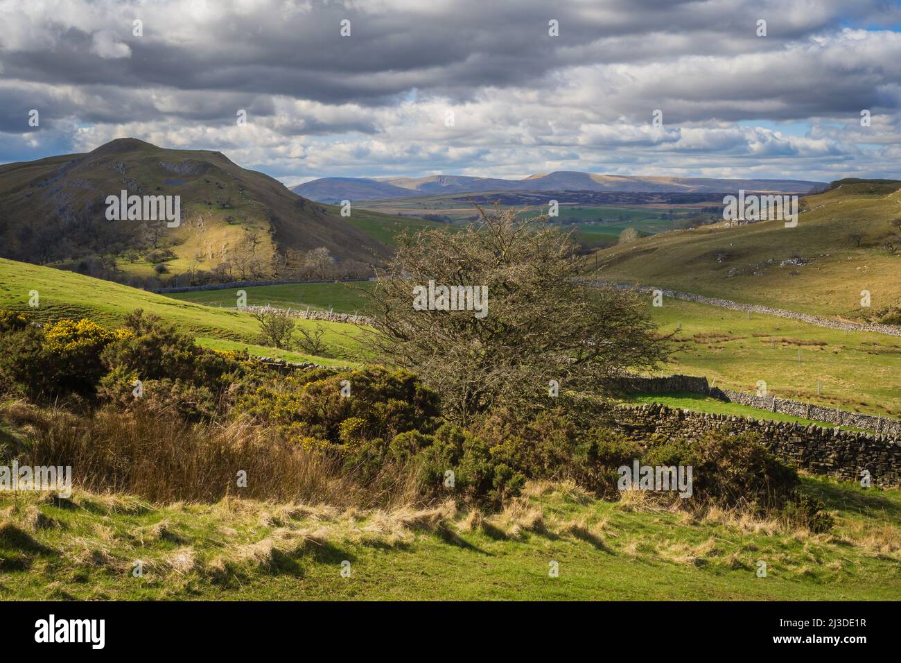 Kirkby Stephen is also the home of Coast to Coast Packhorse! It is a