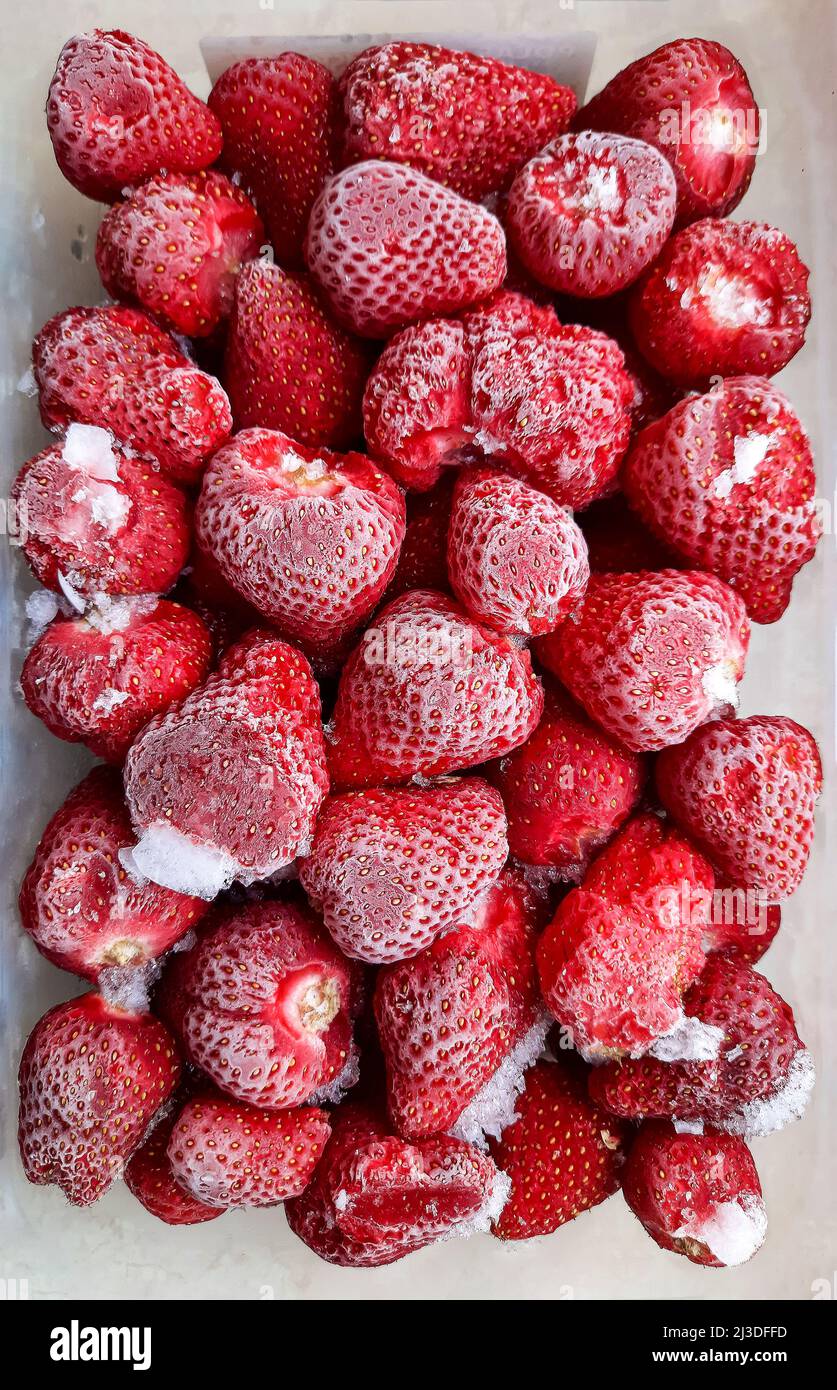 Frozen fruits in a container in the refrigerator, frozen berries