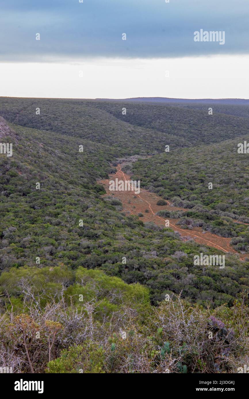 Addo Elephant National Park landscape, South Africa Stock Photo