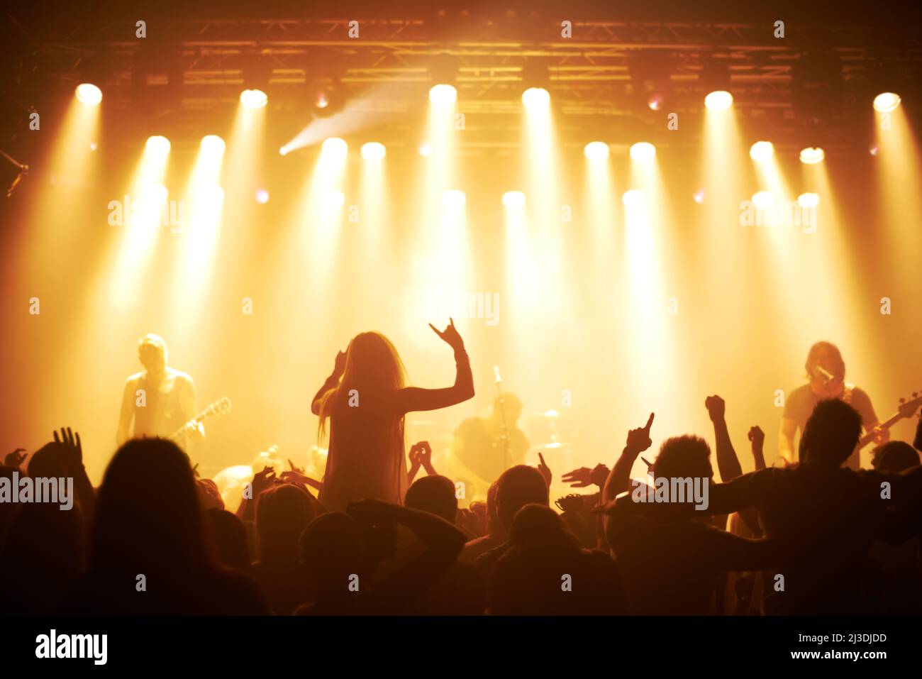 Rock fans unite. Rear view of a crowd cheering at a concert This
