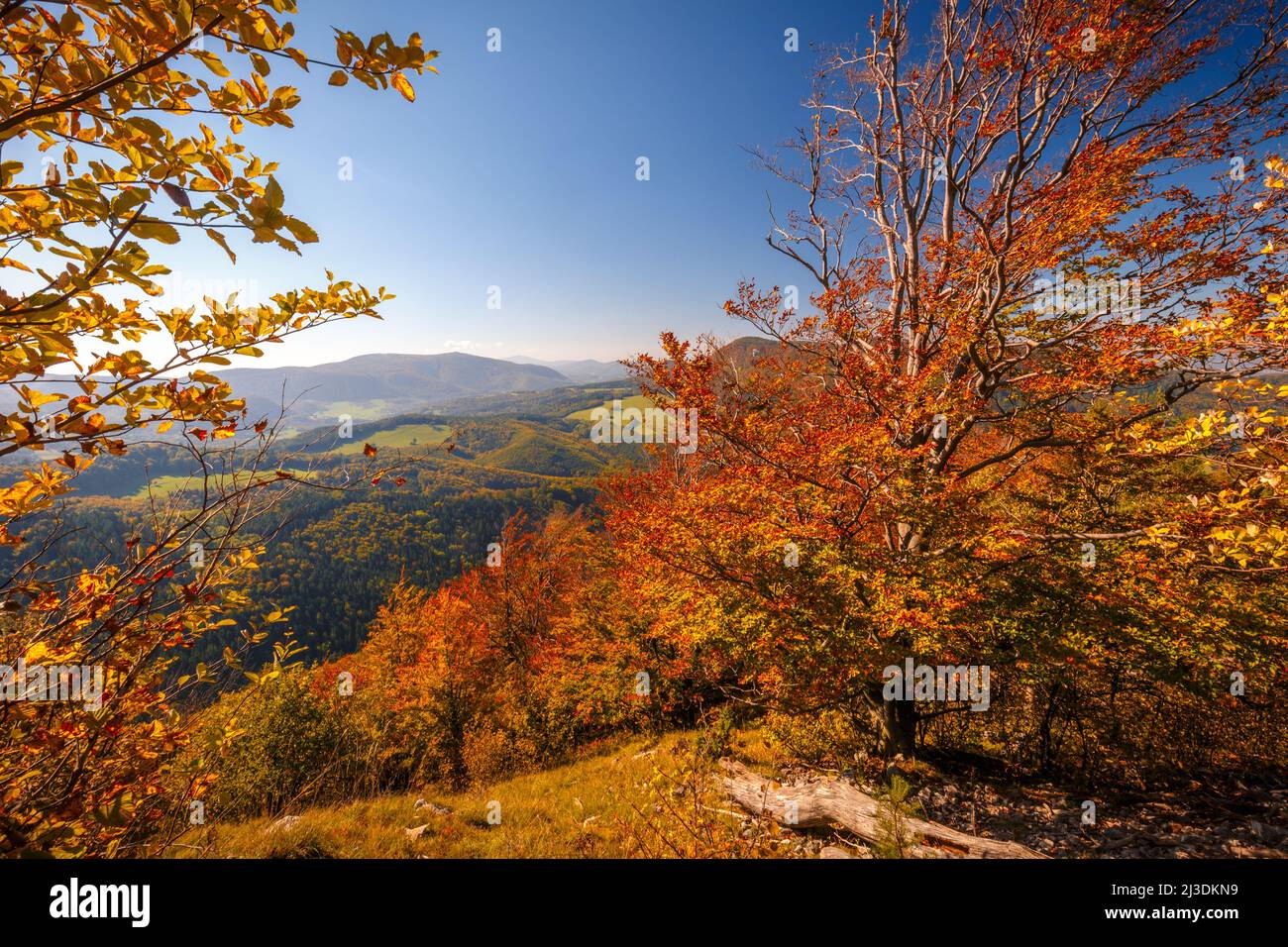 Autumn landscape, The Strazov Mountains in northwestern Slovakia, Europe. Stock Photo