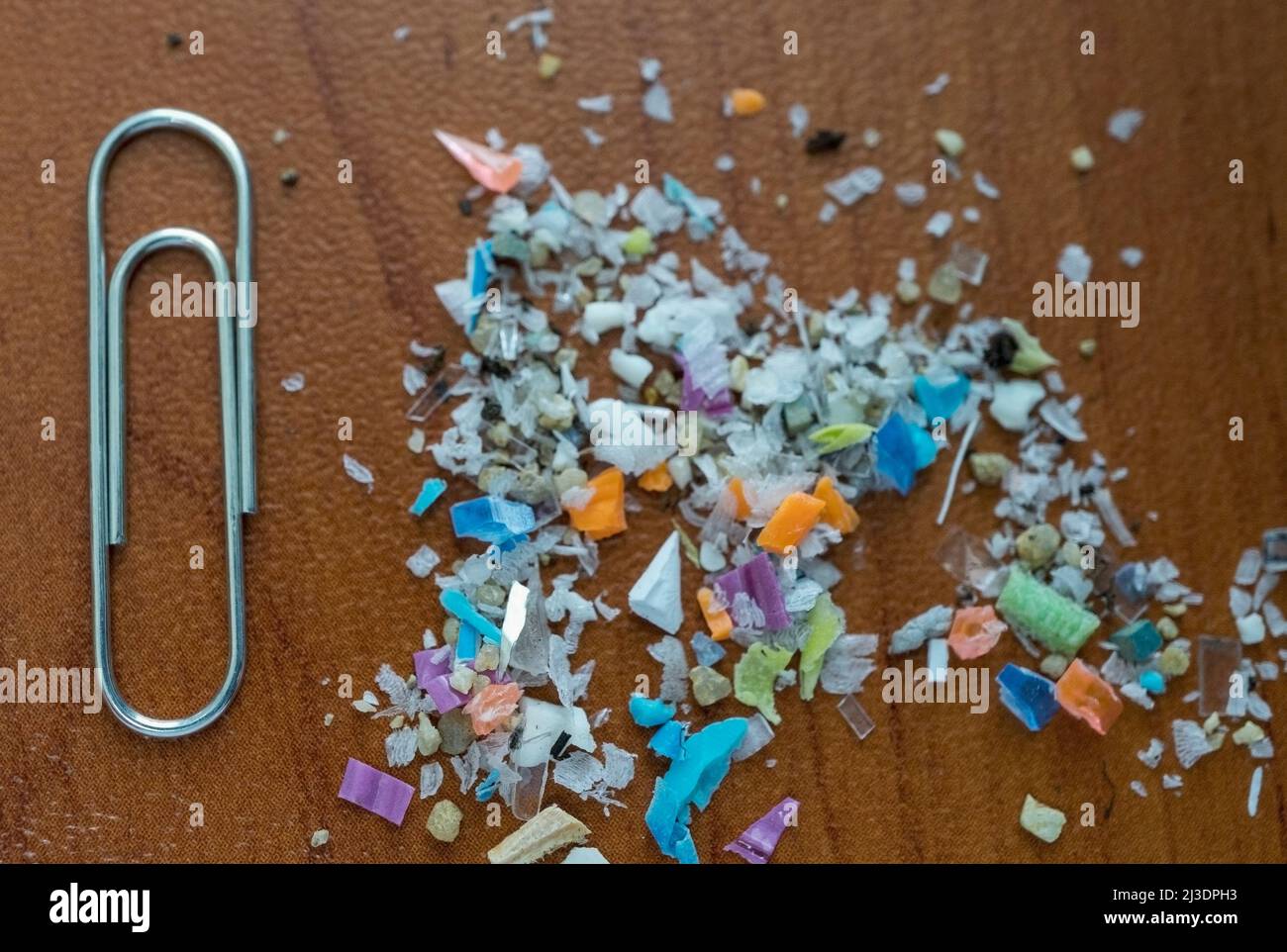 Macro shot of microplastics on with paper clip for size comparison. Concept for water pollution and global warming.  Climate change idea. Stock Photo