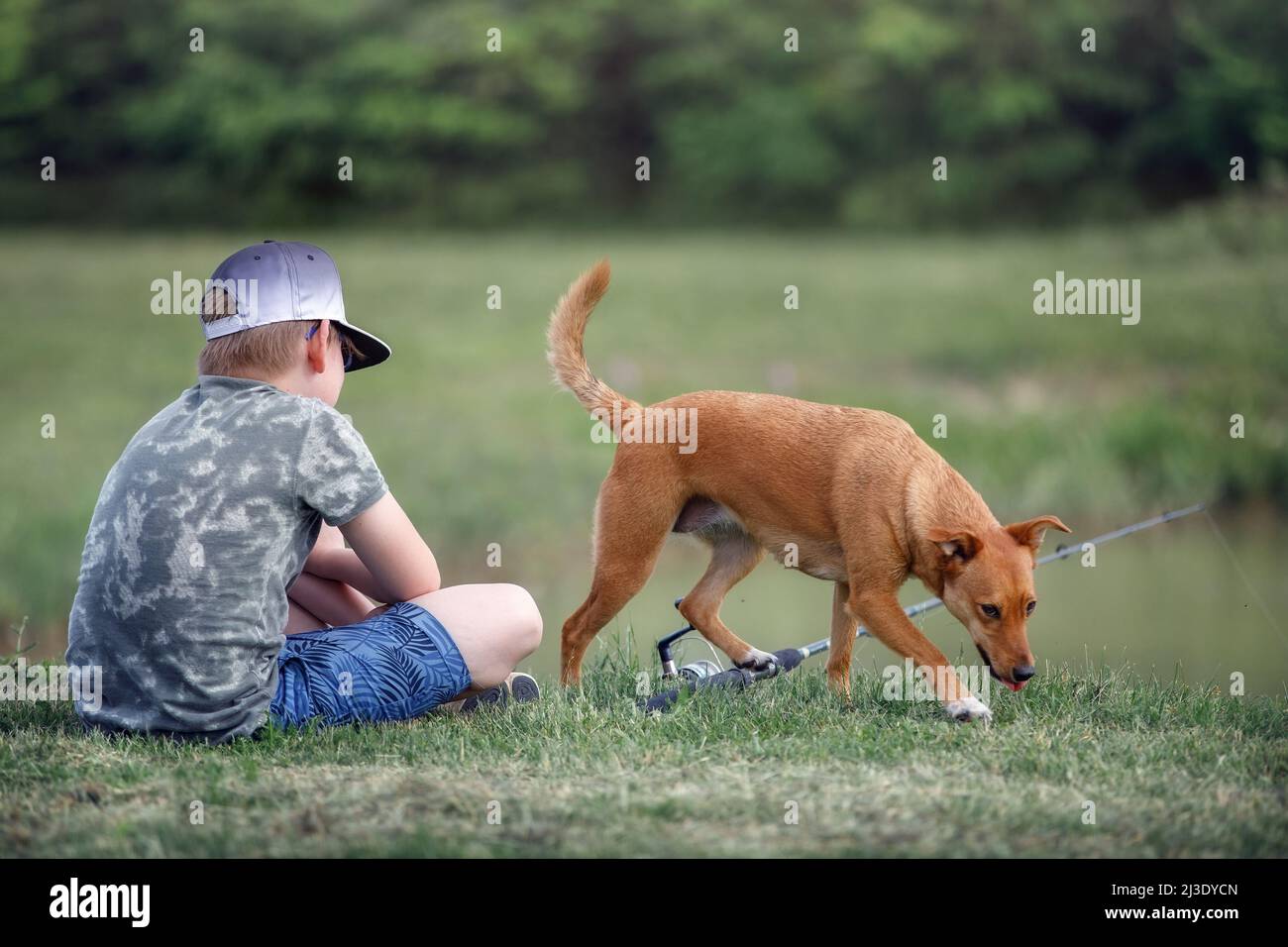 Naturalist boy with ginger dog sitting near the pond and waiting to catch a fish. Patient young fisher enjoying nature with pet in summer time Stock Photo